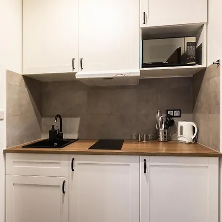 Apartment Nearto Old Town Halicka Street